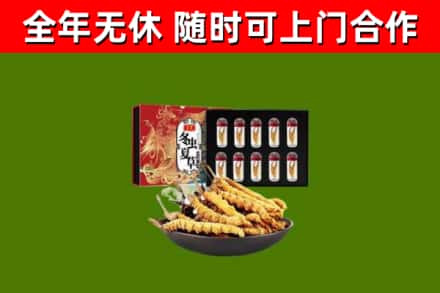 振安回收冬虫夏草价格